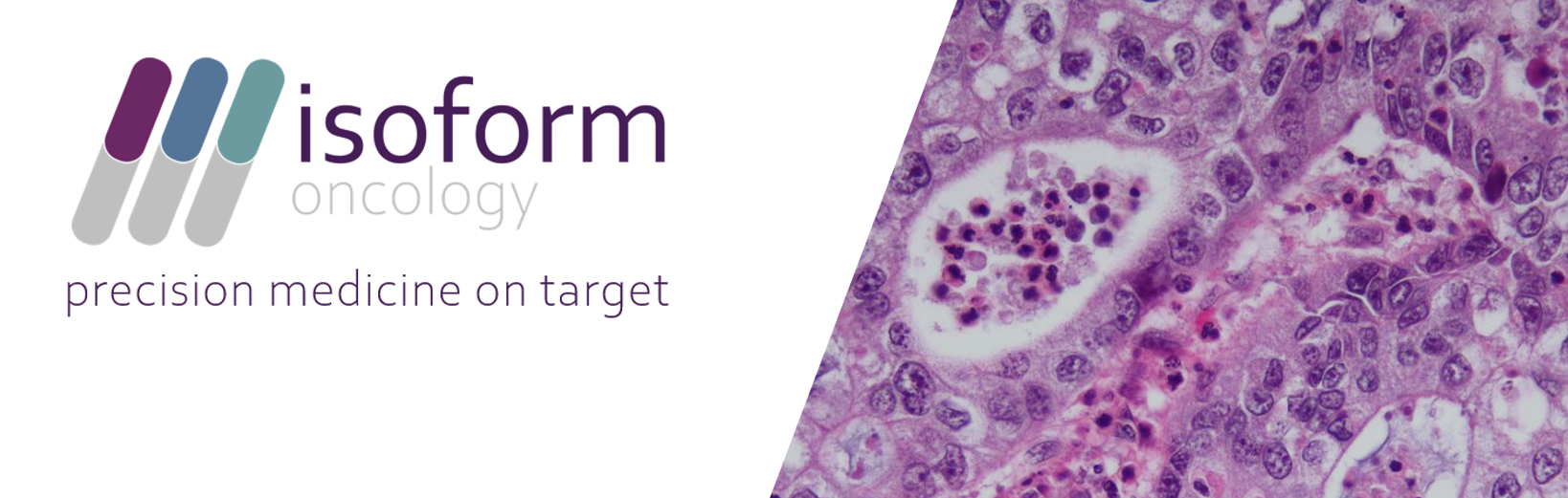 Unsplashed background img 2